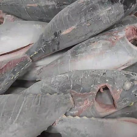 Thi công kho lạnh hải sản chuyên nghiệp tại Phú Yên